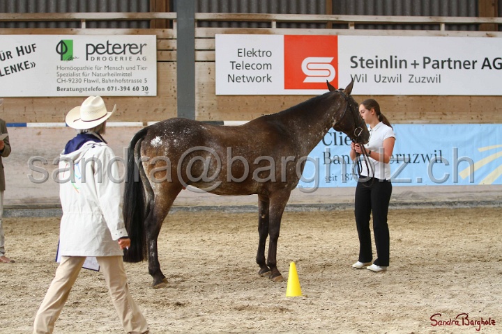 24-ApHC HIH_093.jpg
